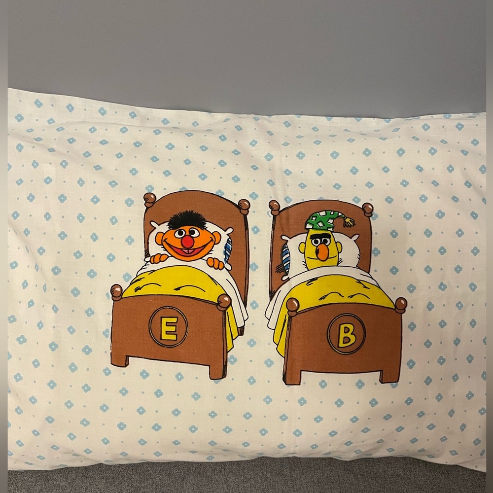 Vintage Sesame Street Character Pillowcase
